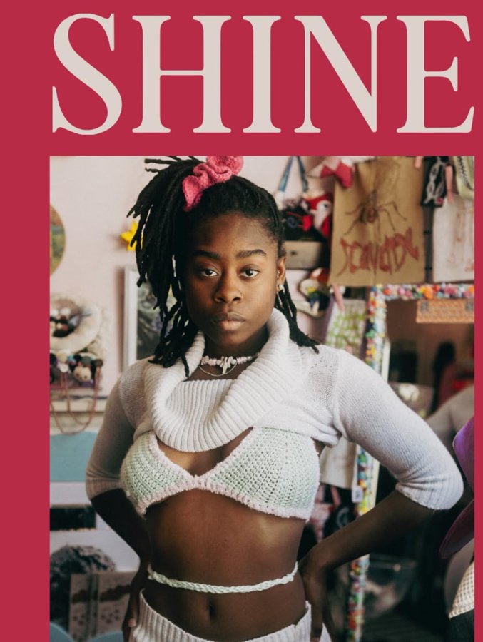 Shine: A Photographic Journal book cover